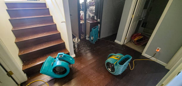 Best Water damage restoration near me  in Palermo, NJ