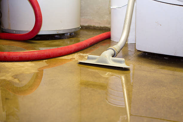 Best Carpet water damage restoration  in Palermo, NJ
