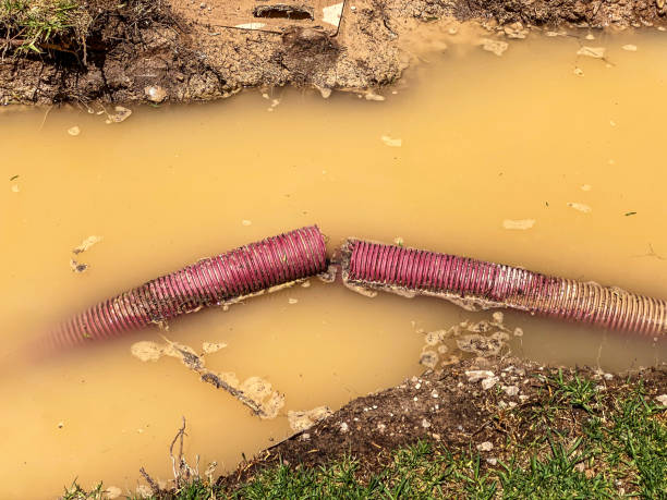 Best 24-hour water damage restoration  in Palermo, NJ